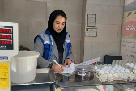 بازرسی